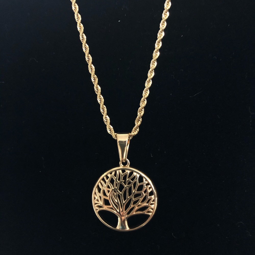 Stainless Steel Pendant with Chain